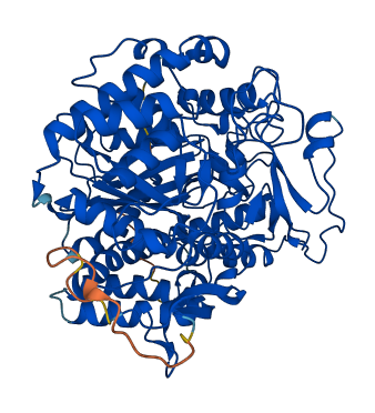 GCLC 3D structure