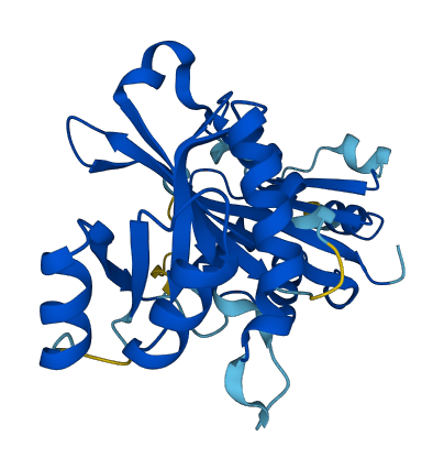 GCLM 3D structure