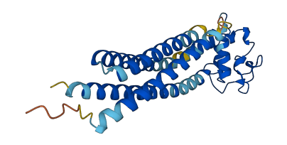 CD151 3D structure