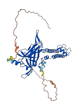 KCNJ5 3D structure