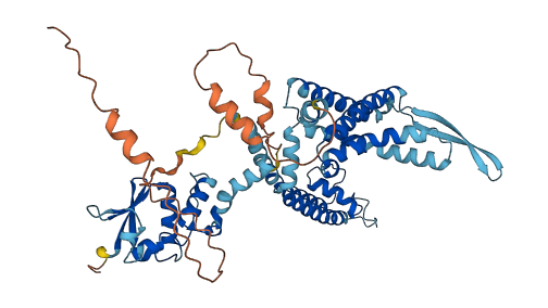 KCNC1 3D structure