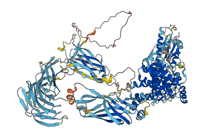 TRAPPC10 3D structure