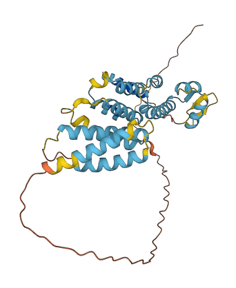 PSMD8 3D structure