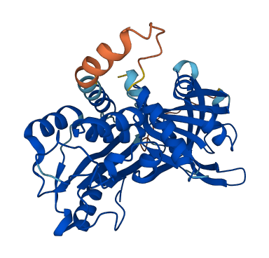 SERPINB10 3D structure