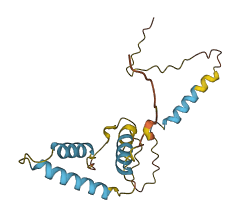 NMU 3D structure