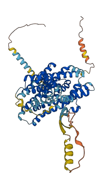 SLC1A6 3D structure