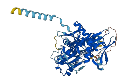 HSPA13 3D structure
