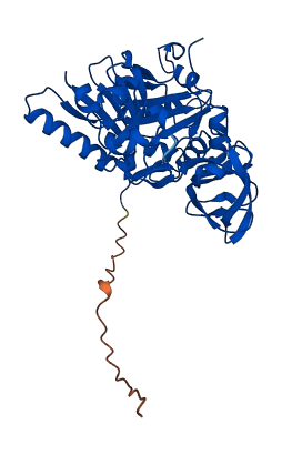 AMT 3D structure