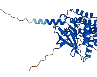 CSNK1A1 3D structure