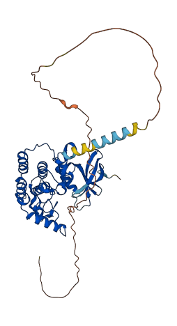 CSNK1D 3D structure
