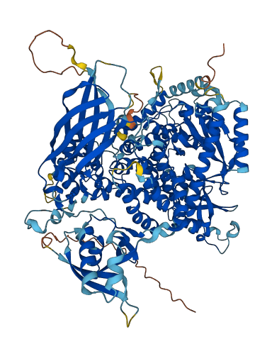 PIK3CG 3D structure