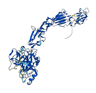 MASP1 3D structure