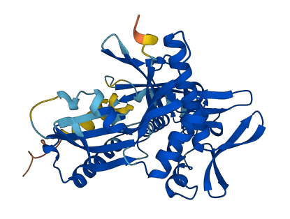HSPA7 3D structure