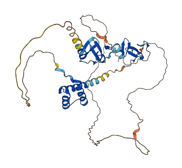 LHX1 3D structure