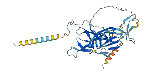 CCN3 3D structure