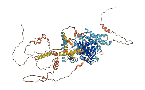 SLC9A3 3D structure