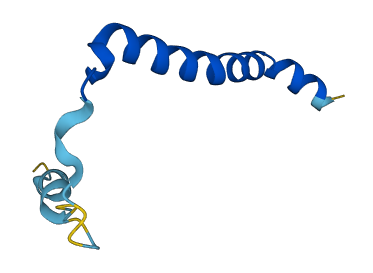 Cox8b 3D structure