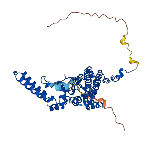 TDO2 3D structure
