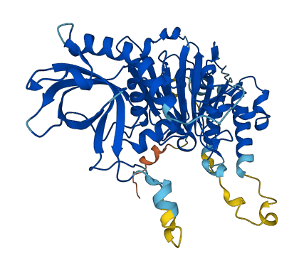 POLD2 3D structure