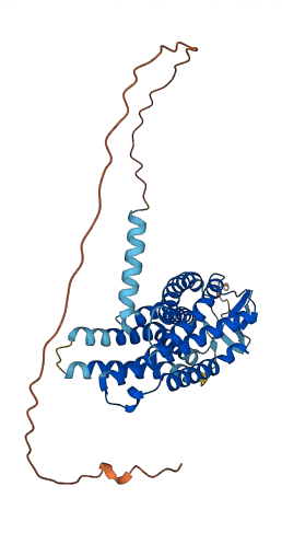HCAR3 3D structure
