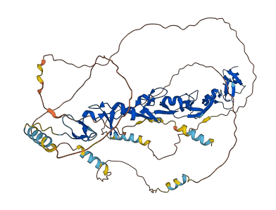 PXN 3D structure