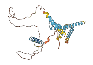 CAMLG 3D structure