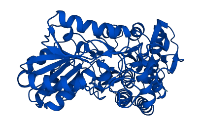 ALDH9A1 3D structure