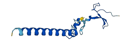 RPL34 3D structure