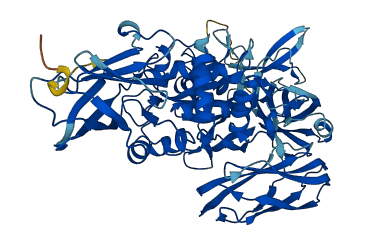 TGM4 3D structure