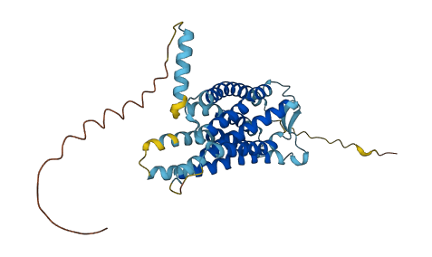 CX3CR1 3D structure