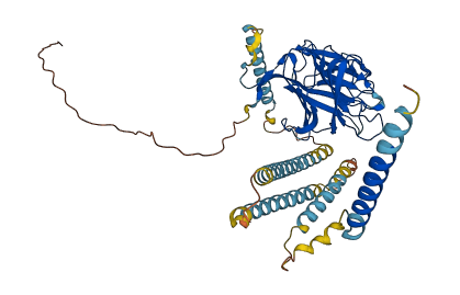 LMAN1 3D structure