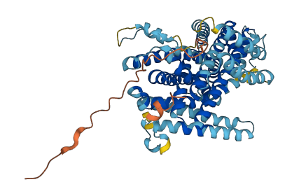 SLC11A1 3D structure