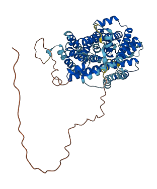SLC11A2 3D structure