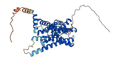 MTNR1B 3D structure