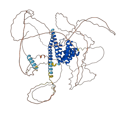NASP 3D structure