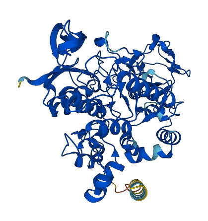 FMO5 3D structure