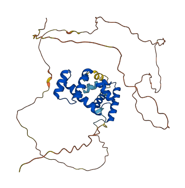 POU3F4 3D structure