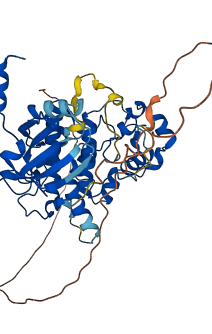 CDK8 3D structure
