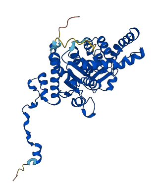 DHPS 3D structure