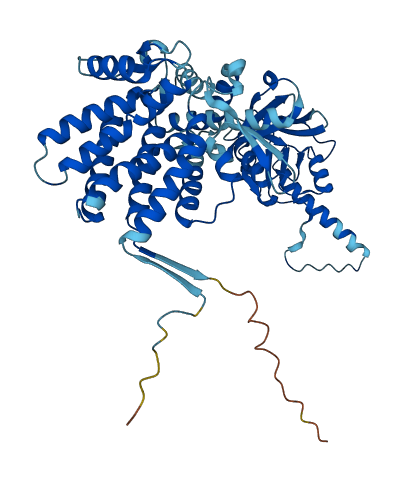 CCT3 3D structure