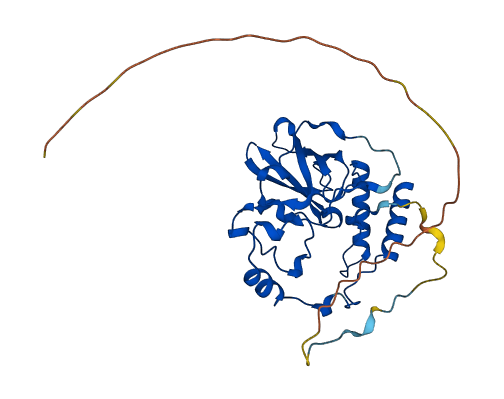MRPL19 3D structure