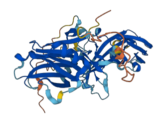 ARRB1 3D structure