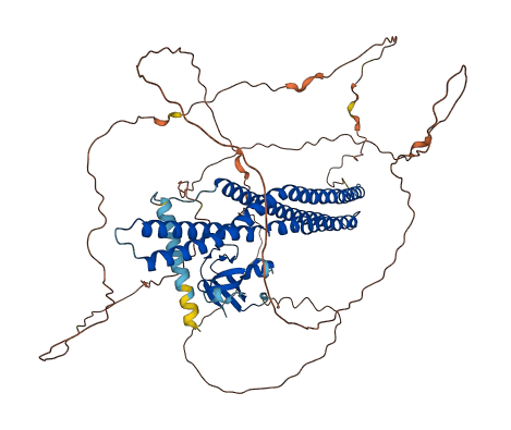 AMPH 3D structure