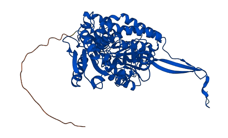 ALDH7A1 3D structure