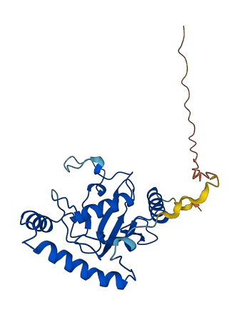 CDC34 3D structure