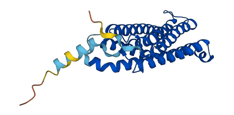 CYB561 3D structure
