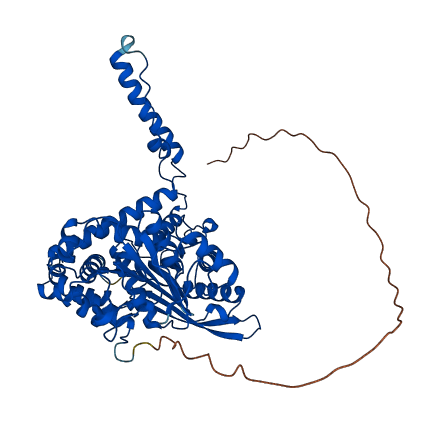 GLUD2 3D structure