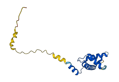 CENPA 3D structure