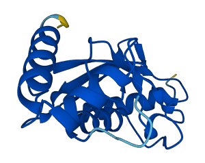 UBE2A 3D structure