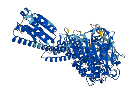 AARS1 3D structure
